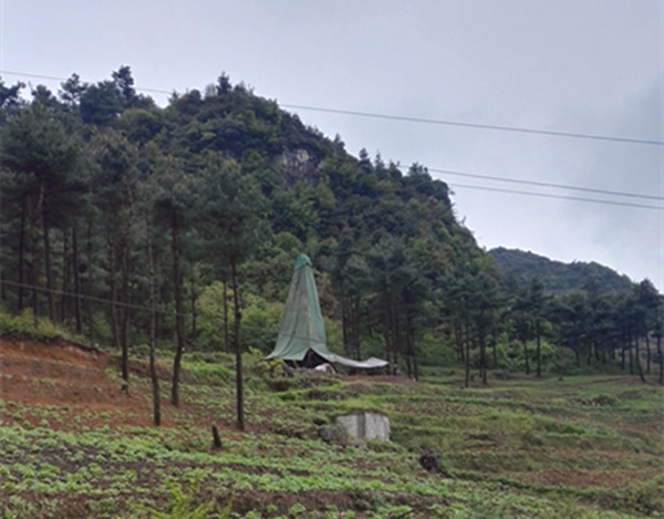 把脈“黔”鋅地，問診開良方