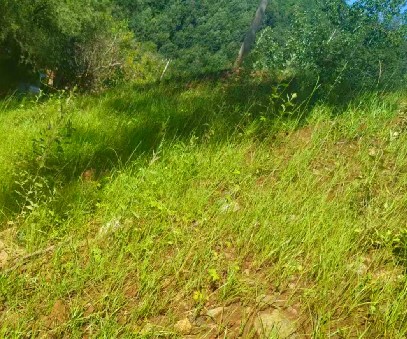 柳關欒盧鉛鋅礦|治理排土“瘡疤”，繪就綠色畫卷